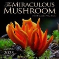 Cover: The Miraculous Mushroom 2025 Wall Calendar - Andrews McMeel Publishing