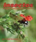 Cover: Insectos: Un Libro de Comparaciones Y Contrastes - Arbordale Publishing, LLC