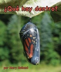 Cover: ?Que Hay Dentro? - Arbordale Publishing, LLC