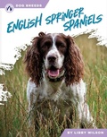 Cover: English Springer Spaniels - Apex