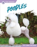 Cover: Poodles - Apex