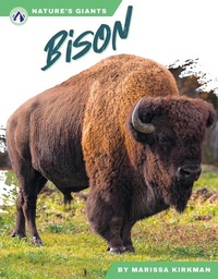 Enlarge image Cover: Bison - Apex