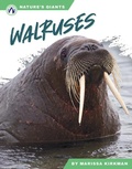 Cover: Walruses - Apex