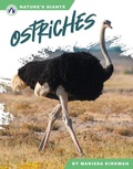 Cover: Ostriches - Apex