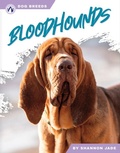 Cover: Bloodhounds - Apex
