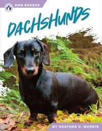 Enlarge image Cover: Dachshunds - Apex