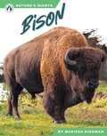 Cover: Bison - Apex
