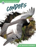 Cover: Condors - Apex