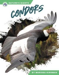 Enlarge image Cover: Condors - Apex