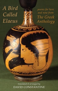Abbildung von: A Bird Called Elaeus - Bloodaxe Books