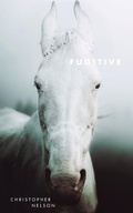 Cover: Fugitive - New Michigan Press