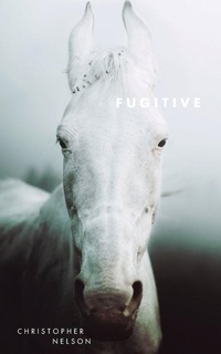 Enlarge image Cover: Fugitive - New Michigan Press
