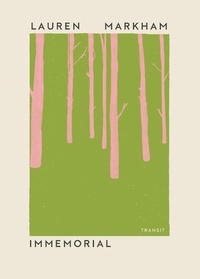 Enlarge image Cover: Immemorial - Transit Books