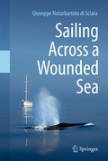 Cover: Sailing Across a Wounded Sea - Springer