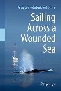 Enlarge image Cover: Sailing Across a Wounded Sea - Springer