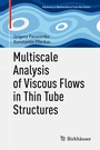 Cover: Multiscale Analysis of Viscous Flows in Thin Tube Structures - Birkhäuser