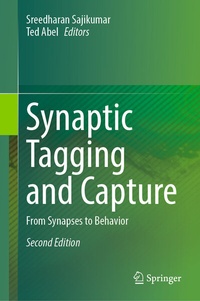 Abbildung von: Synaptic Tagging and Capture - Springer