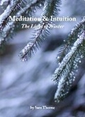 Cover: Meditation & Intuition - Ogwen Nandi Publishing