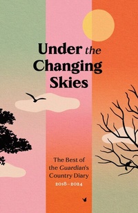 Abbildung von: Under the Changing Skies - Guardian Faber Publishing