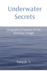 Abbildung von: Underwater Secrets: Geographical Features Of The Bermuda Triangle - Unknown