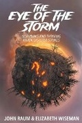 Cover: The Eye of the Storm - Leon Lanen