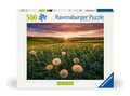 Cover: Erwachsenenpuzzle 500 Teile - Pusteblumen im Sonnenuntergang - Ravensburger