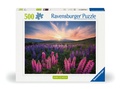 Cover: Erwachsenenpuzzle 500 Teile - Lupinen - Ravensburger