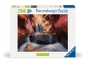 Cover: Erwachsenenpuzzle Power of Nature 1500 Teile - Der Wasserfall im Red Canyon - Ravensburger