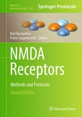 Bild: NMDA Receptors - Humana