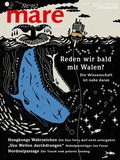 Cover: mare - Die Zeitschrift der Meere / No. 162 / Reden wir bald mit den Walen? - mareverlag