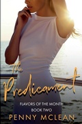 Cover: The Predicament - NineStar Press, LLC
