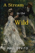 Cover: A Stream in the Wild - Olympia Publishers