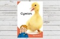 Cover: Dyna Chi Dric: Cywion - Canolfan Peniarth