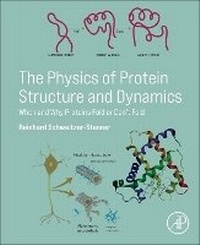Abbildung von: The Physics of Protein Structure and Dynamics - Academic Press