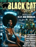 Cover: Black Cat Weekly #119 - Wildside Press