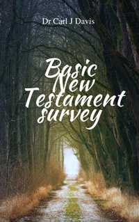 Abbildung von: Basic New Testament Survey - Carl Davis