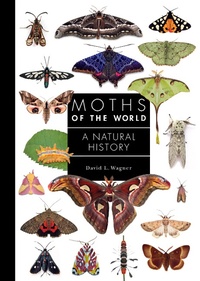 Enlarge image Cover: Moths of the World - Princeton University Press