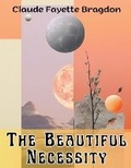 Cover: The Beautiful Necessity - Intell Book Publishers
