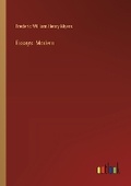 Cover: Essays. Modern - Outlook Verlag