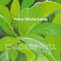 Cover: Petra Winterkamp - Klinger, Dietmar