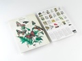 Cover: Natural History - Pepin Press