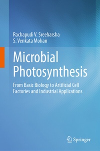 Abbildung von: Microbial Photosynthesis - Springer