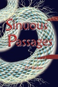 Cover: Sinuous Passages - D J Walker