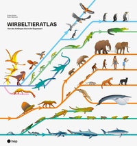 Abbildung von: Wirbeltieratlas - hep verlag