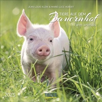 Abbildung von: Tiere auf dem Bauernhof 2025 - Korsch Verlag