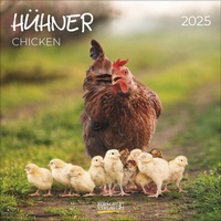 Abbildung von: Hühner 2025 - Korsch Verlag