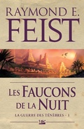 Cover: La Guerre des t&eacute;n&egrave;bres, T1 : Les Faucons de la Nuit - Bragelonne