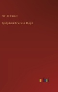 Cover: Synopsis of American Wasps - Outlook Verlag