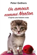 Cover: Un amour nomm&eacute; Norton - Hauteville