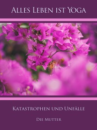 Abbildung von: Katastrophen und Unfälle - AURO MEDIA Verlag und Fachbuchhandel Wilfried Schuh